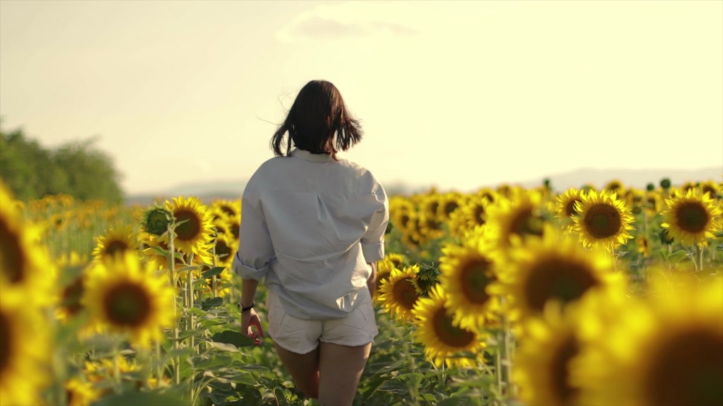 woman in sunflower field