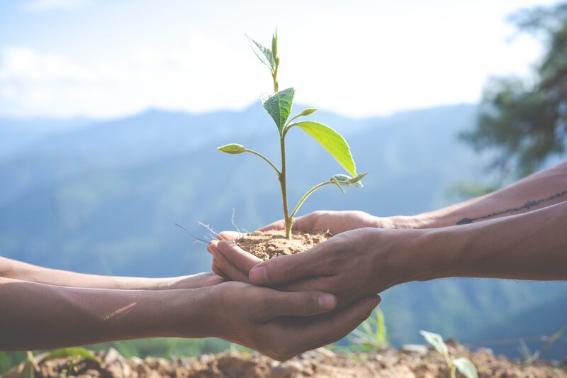 Family building stronger relationships through faith-based hypnotherapy